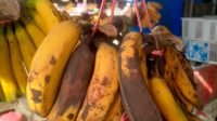Buah Pisang Yang Kulitnya Banyak Bercak Hitam Pertanda Lebih Kaya Manfaat