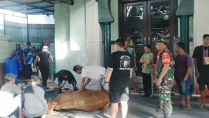 Kebersamaan Dengan Masyarakat, Babinsa Ikut Penyembelihan Hewan Qurban