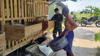 Komsos Wilayah Binaan Babinsa Dengan Peternak Kambing Di Klego