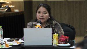 Kemendagri Fasilitasi Penajaman Arah Kebijakan Dokrenda 4 DOB Papua