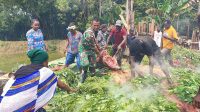 Junjung Tinggi Adat Papua, Satgas Yonif 122/TS Bersama Masyarakat Meriahkan Peresmian Gereja Dengan Tradisi Bakar Batu