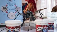 Analis Resiko Nyamuk Ber-Wolbachia Aman Untuk Jangka Panjang