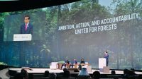 Presiden RI Joko Widodo Sampaikan Langkah Indonesia Capai Net Carbon Sink Sektor Hutan Dan Lahan