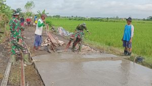 TNI Saat Ini Dituntut Serba Bisa