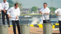 BINS Menjadi Terobosan Budi Daya Ikan Nila Di Darat
